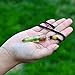 Orgonite Pendant Necklace - Peridot Crystal Orgone pendant with Orgone Energy E-Energy Protection-Cho Ku Rei Reiki Charged-Negative Energy Transformer-Tested E-Ray, E-Energy Protection