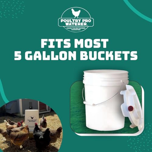 Poultry Pro Feeder Alimentador de galinha alimentado por gravidade de PVC DIY Port 3 portas e serra