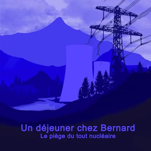 Le pi&egrave;ge du tout nucl&eacute;aire