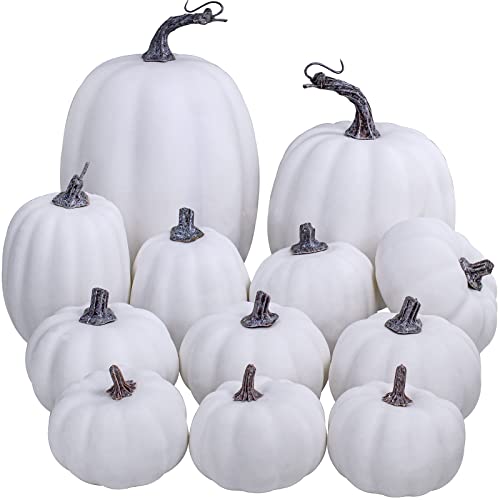 My Favorite Best Large Plastic Pumpkin On The Market BNB