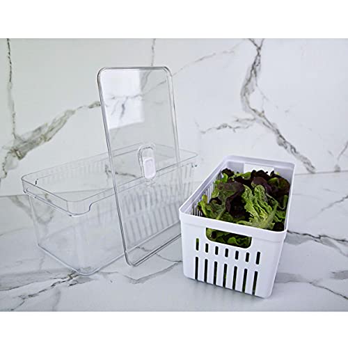 OU OF350NT Organizador de Geladeira com Escorredor Interno, 5 L - Caixa Plástica para Legumes, Salad