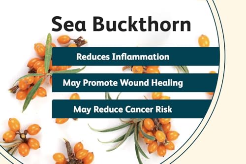 Indiana Sea Buckthorn Berry (100 gm) - Nourishes Skin | Rich in fatty Acids,Omega 3, 6, 7, 9, Collagen, Fiber, Omegas, Vitamin C, Vitamin E| No added Sugar | (100 grams)