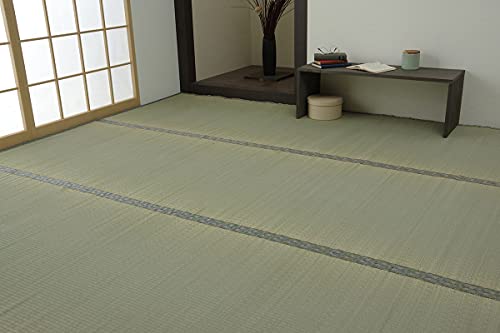 イケヒコ い草 上敷き カーペット 制菌 抗菌防臭 消臭 コバガード上敷 小林製薬KOBA-GUARD 江戸間3畳 約176×261cm #1329703