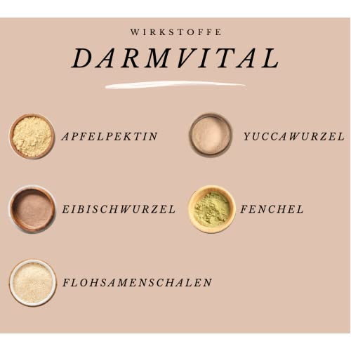 Vitalsteps DarmVital | Apfelpektin, Yuccawurzel, Eibischwurzel, Flohsamenschalen, Fenchel für Hund u. Katze