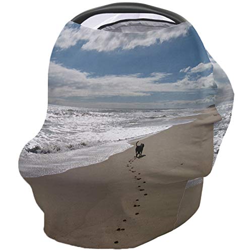 P[v lC |` Jo[ r[`C MъCi 玙XJ[t 360xS Lk ʋC  xr[J[Jo[ oYj t[TCY VbsOXJ[t V[