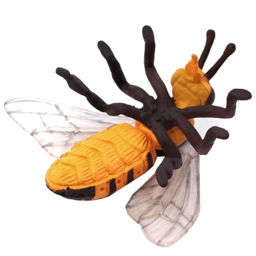 Namvo 4-teiliges Bienen-Lebenszyklus-Insektenfiguren-Set – Realistischer pädagogischer Adapter für das Lernen im Vorschulalter, Insekten-Wachstumszyklus-Modell, interaktive Lehrhilfe für