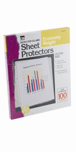 Charles Leonard Sheet Protectors, Top Loading with Binder Holes, 2 Mils Economy Weight, Non-Glare, Letter Size, Clear, 100-Pack (48181)