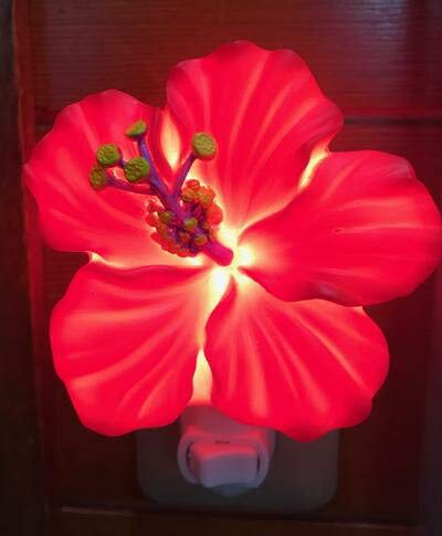 Amazon | ○o。ハワイ限定品!!直輸入!!ナイトランプ