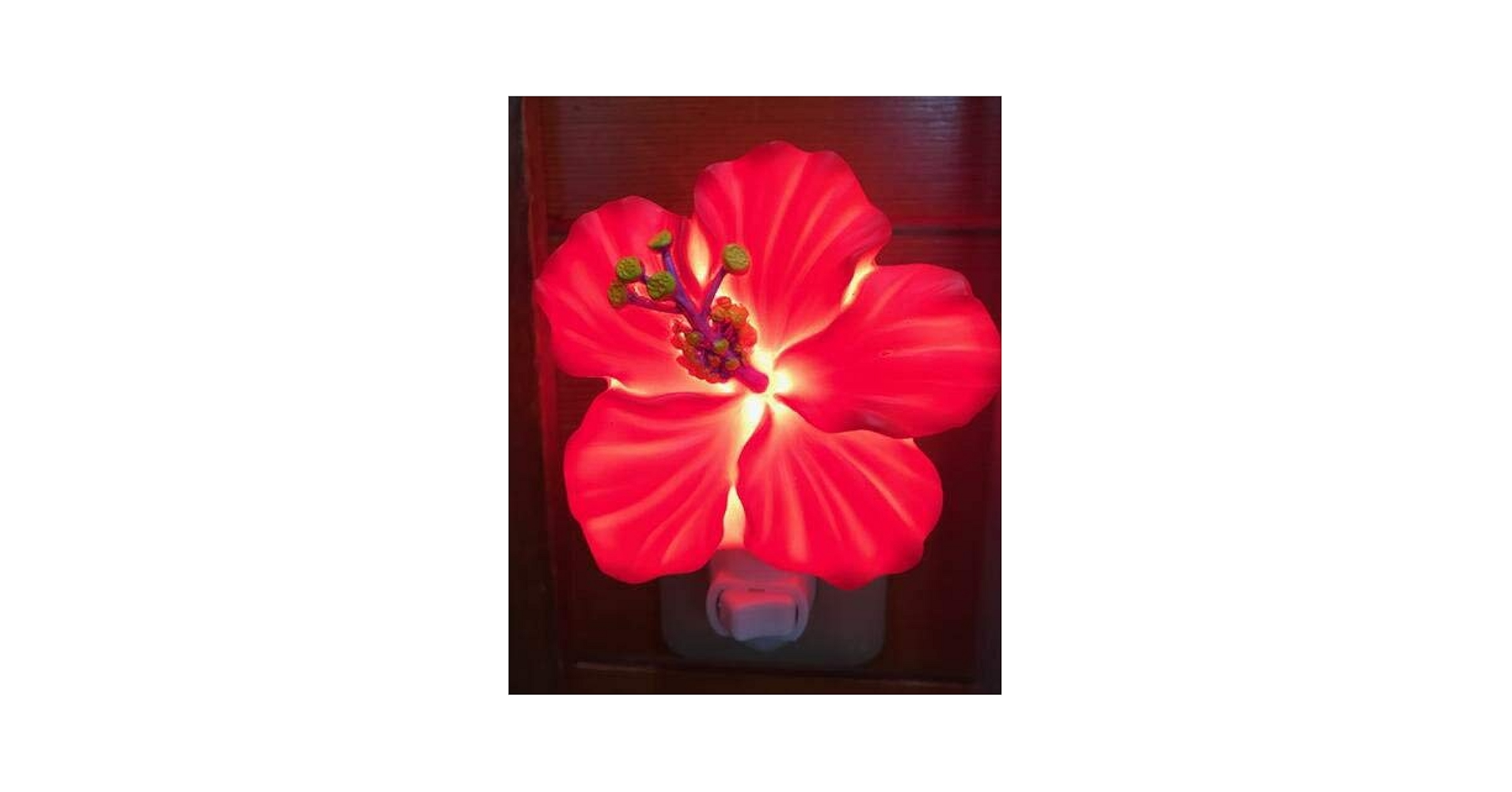 ✴︎ハワイアン✴︎ルームランプ Amazon | ○o。ハワイ限定品!!直輸入!!ナイトランプ