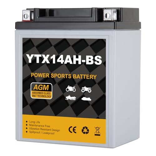 Daakmax YTX14AH-BS 12V 12Ah Motorcycle Battery, 220CCA Rechargeable Maintenance Free Sealed AGM Battery, Powersport Replacement for ATV, UTV, Scooter