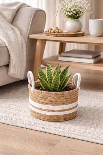 Image of ABEERA Jute & Cotton Big Size Basket for Storage, Clothes, Kitchen (1 Piece with Handle, Beige-White, 20.32 x 20.32 cm) - Round Woven Handcrafted Basket for Toys, Wardrobe, Plants (Small 8x8)