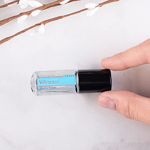 Super Z Outlet Clear (1/6 Oz/5 ml) Plain Glass Container Tubes Roll-On Bottles with Ball Tips and Black Caps for Homemade Lip Care Products, Essential Oils, Cosmetic Gift, Perfumes (24 Pack)2