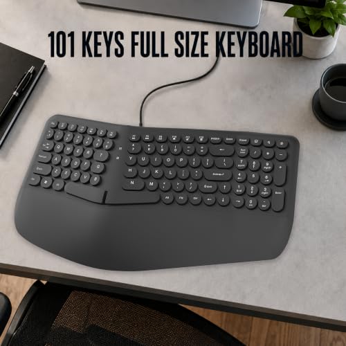 Image of ANT Master 70 Wired USB Keyboard, Full-Size 101-Key Computer Keyboard with FN + 12 Multimedia Shortcut Keys, Smooth Rubber Dome Keys, Anti-Splash Design, 5 Million Keystrokes, Windows & Linux Black