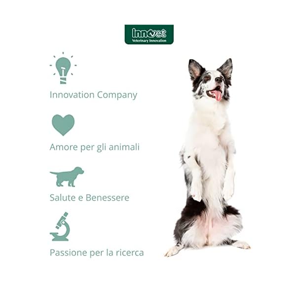 Innovet Redoderm Shampoo zur sanften Reinigung der Haut und des Fells für Hunde und Katzen - 250 ml Flasche – Bild 7