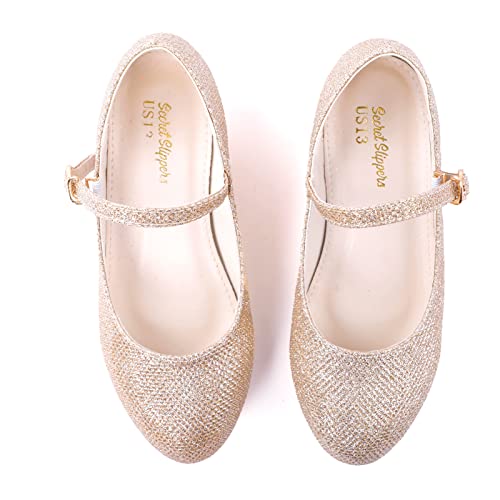 BEARAE Girls Mary Jane Shoes Party Dress Shoes Low Heel Girls Dress Shoes Wedding Party Mary Jane Princess Shoes for Kids2