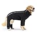 Canada Pooch Dog Slush Suit Dog Bodysuit for Rain and Snow Full Body Dog Suit Water-Resistant Dog Onesie (Black, 20 (19-21