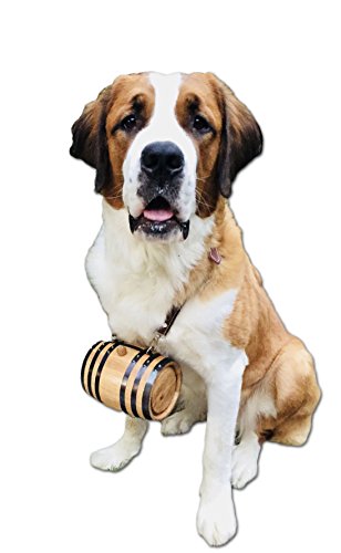 Best collar for saint bernard Clearance