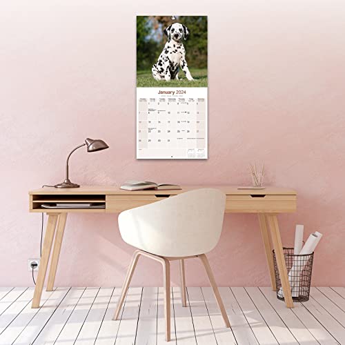Dalmatian Calendar 2024 - Image 4