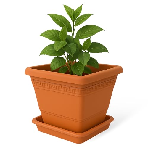 Macetero con Plato, Maceta Cuadrada clásica de plástico con Plato, Tiesto para Plantas, Fabricado en Polipropileno, 17 cm Altura x 20 cm Ancho, Terracota