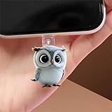 Cute Owl Dust Plug Acrylic Charms for electronic products,Type-C Charging Port Dust Plugs Pendant Compatible with E-Reader Phone Tablet, Gift for Christmas, Birthday, Anniversary Day