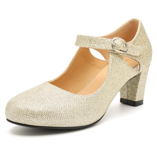 Women's Low Block Chunky Heels Pumps Mary Janes Vintage Cutout Round Toe Retro Hollow Out Shoes