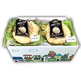 Japanese Bread box by Como’s Bakery (MelonPan, Melon Bread, Melon Pan) DagashiyaBox [PACK OF 10]