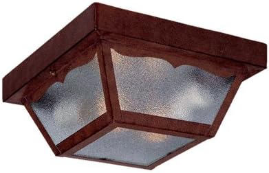 Acclaim 1-Light Outdoor Ceiling Lantern In Matte Black - Weatherproof Exterior Light Fixture