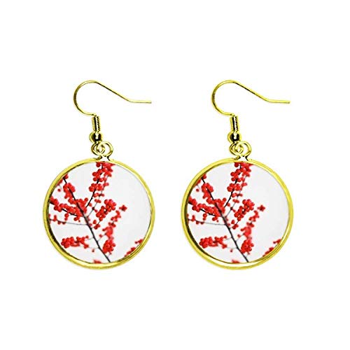 Pendientes de gota antialérgicos ligeros con cristal templado rojo para orejas sensibles
