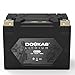 DOUKAS DKL30 YTX30L-BS 800A LiFePO4 Motorcycle Lithium Battery, 12V 8Ah Powersports Battery, Compatible Jet Ski, ATV, Lawn Mower, Scooter, Generator Battery, Snowmobile