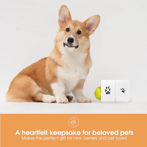 Pearhead Almofada De Tinta E Cartões Small Pet Paw Print Clean-Touch Preto/Branco
