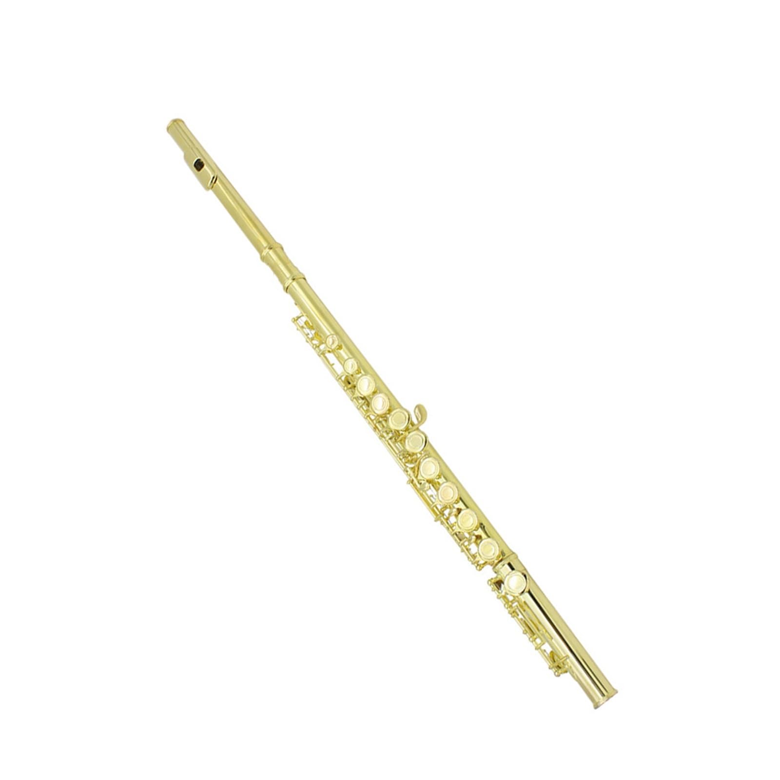 Flauto Professionale C Flauto A 16 Fori Colore Do Blu Chiave Mi Strumento A Fiato Per Principianti E Professionisti(Gold)