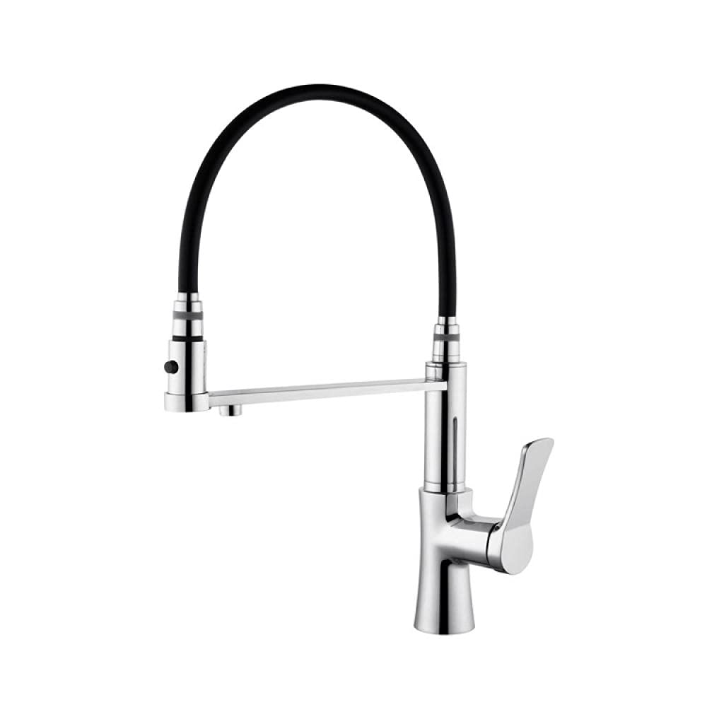 Robinet de cuisine contemporain mitigeur d'évier universel