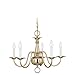 Sea Gull Lighting 3313-02 Traditional Five-Light Chandelier, Brass Finish