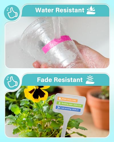 Image of Colorty Replace for Brother P-Touch Label Maker Tape TZe 12mm 0.47 Ribbon Laminated TZ Colored Refills Compatible with Brother P Touch PT-D210 D220 H110 1000 1280 D400 Cube, 1 /2 inch x 26.2', 6 Pack