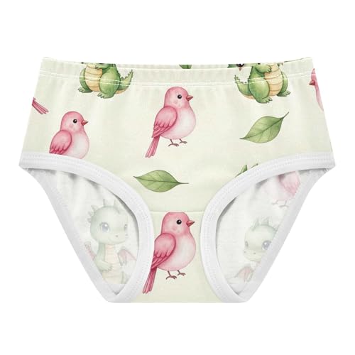 Cute Watercolor Dragons Birds Beige Panties Little Girl Girls Underwear Toddlers Cotton Stylish Underpants Briefs 2t