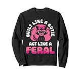 Photo Gallery divertente simpatico procione selvatico meme animal felpa Photo Gallery divertente simpatico procione selvatico meme animal felpa