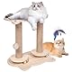 Novelfun Kratzsäulen Katzen Interaktives Katzenspielzeug Aus Holz Spielzeug Katzenbaum mit Federn und Sitzstange für Kleine und Mittlere Erwachsene Katzen