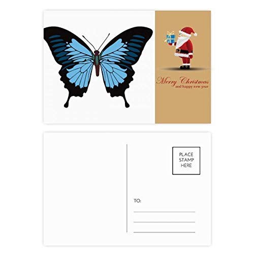Cartes postales papillons bleu foncé lot de 20 pour vœux