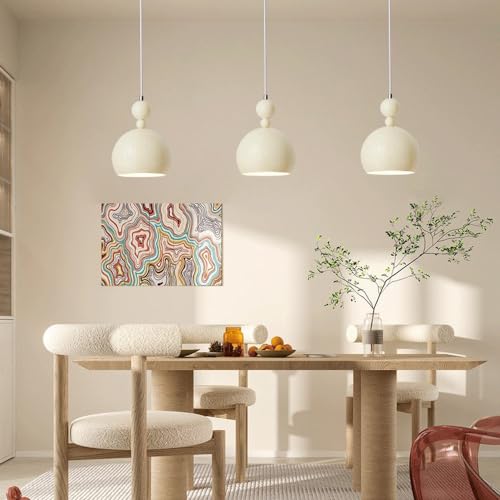 Lampe Suspendue Décorative pour Balcon et Restaurant Plafonnier Noir E27