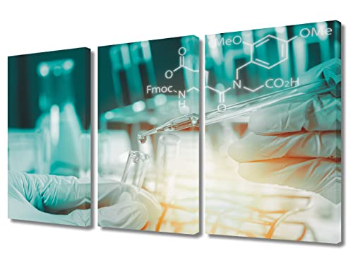 Image of 3 Panel Medical Wall Decor Poster Laboratory Wall Decor for Bedroom Scientist Hand Holding Test Tubes Laboratory Research Giclee Wooden Framed Gallery-Wrapped Ready to Hang (36 inch Wx24 H)