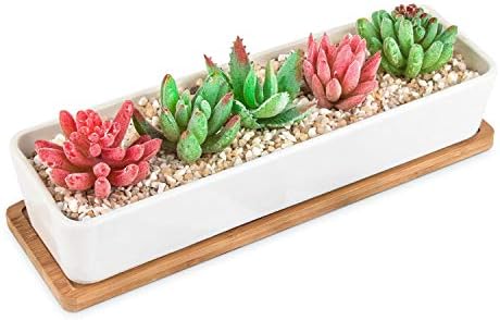 HOMENOTE Larger Rectangle Planter Pots (Size:11.1 x 3.54 x 2.17 inch) for Small Succulent Plants Long White Ceramic Succulent Planter Pots with Drainage Hole and Bamboo Tray