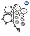 Dual Double Vanos O Ring Seal Gasket Repair Kit for BMW E46 M52tu M54 e36 39 e60 e65 Z34 X3 X5...Include the Bearing Races for the Anti-Rattle Kit