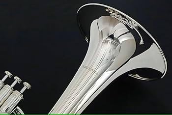 Amazon.co.jp: PLAYTECH (プレイテック) アルトホルン 3ピストン 銀