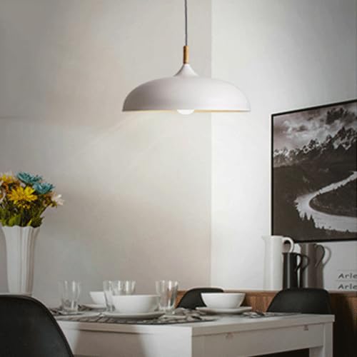 Suspension fer style simple lampe suspendue décorative E27 - 4