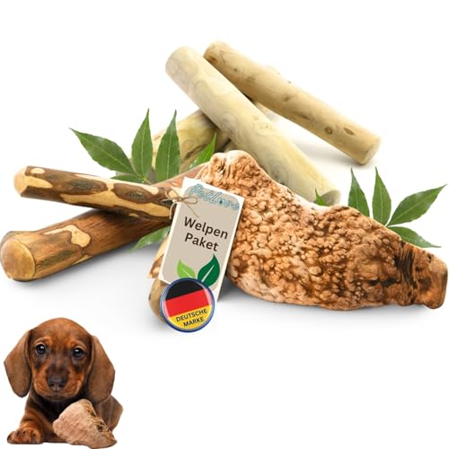 PetLove Welpenspielzeug Set – 3 Kauhölzer für Hunde (Kaffeeholz, Olivenholz & Kauwurzel) | Natürliches Kauspielzeug für Welpen & kleine Hunde | Langlebiger Kauknochen zur Beschäftigung & Zahnpflege PetLove Welpenspielzeug Set – 3 Kauhölzer für Hunde (Kaffeeholz, Olivenholz & Kauwurzel) | Natürliches Kauspielzeug für Welpen & kleine Hunde | Langlebiger Kauknochen zur Beschäftigung & Zahnpflege