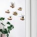 MITIME air plant holder, small air plant display stand. Wall mount to save space, wall decoration. (Plants not included) (Set of 6)