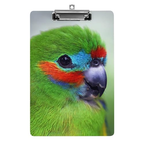 Porte Document Avec Clip A4 rigide couleur Perroquet Vert durable