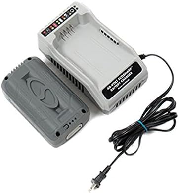 review Snow Joe + Sun Joe iCHRG40 EcoSharp Lithium-Ion Battery Charger | 40 Volt , Gray