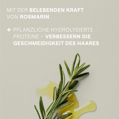 WELEDA Bio Rosmarin Revitalising Conditioner - Naturkosmetik Haarpflege Spülung mit Jojobaöl, Rosmarinöl & Arginin für natürlichen Glanz & Volumen. Haarspülung ohne Silikone & Sulfate (vegan, 150ml)