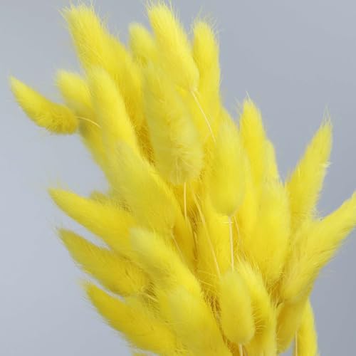 60 unidades flores secas naturales para decoración miniatura 5